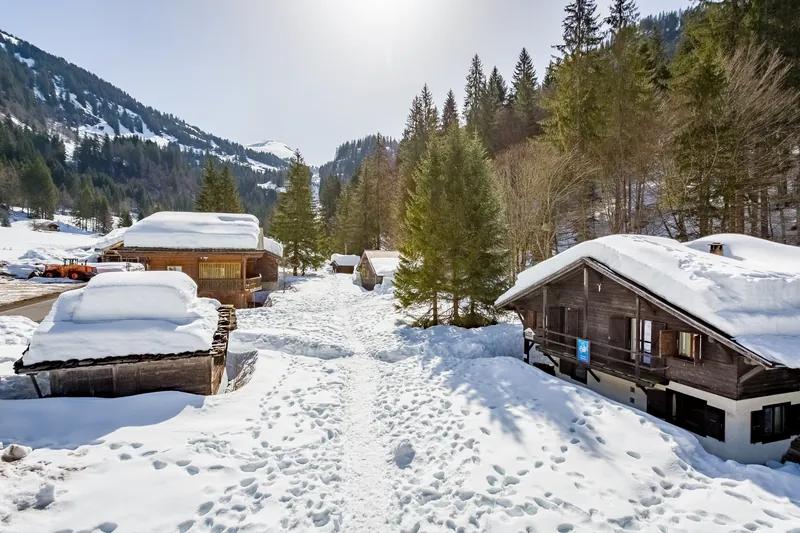 Ardent in the Portes du Soleil